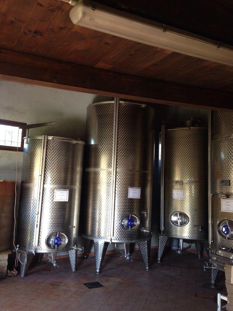 Azienda Agricola Sinisi Cerveteri Eksteriør billede
