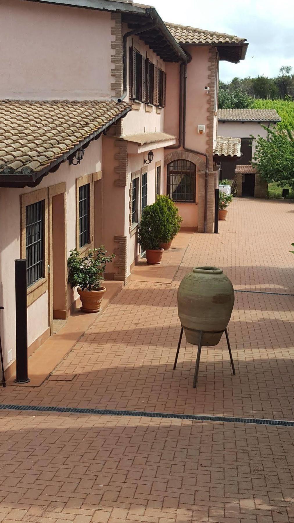 Azienda Agricola Sinisi Cerveteri Eksteriør billede