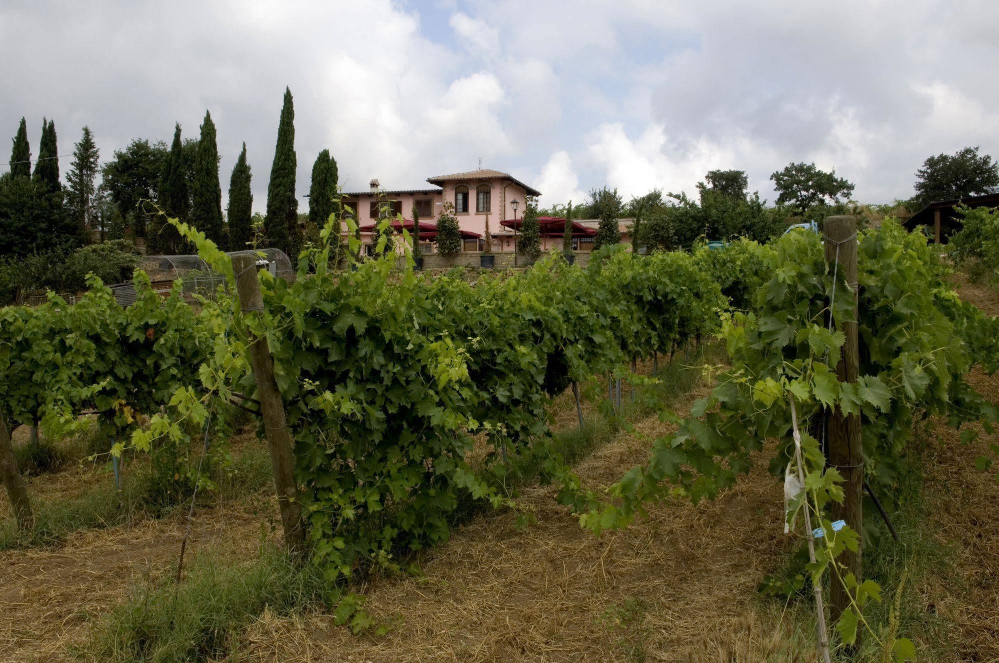 Azienda Agricola Sinisi Cerveteri Eksteriør billede